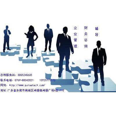 东莞市金林知识产权专业提供企业管理、财务咨询与辅导
