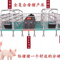 母猪双体产床塑料保温箱猪位60誉嘉畜牧养猪设备